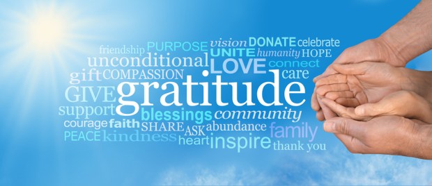 Thanksgiving Togetherness -  Male hands  cradling female cupped hands on a wide blue sky background with a GRATITUDE word cloud and large sun burst in top left corner